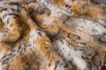 Bobcat Fur Blanket
